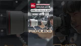 SONY α9 III シャッター音 | グローバルシャッター方式のフルサイズセンサー搭載ミラーレスカメラがついに登場！最高約120コマ/秒の連写音 #shorts #ミラーレス