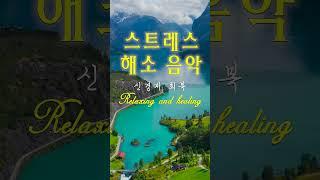 숲속에 온 듯, 마음이 편해지는 뉴에이지 음악 테라피