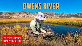 Exploring the Sierras: Owens River Fly Fishing