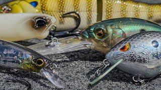 Top 5 Baits For October Bass Fishing!