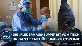 LABOR-THEORIE ZU CORONA: Brisanter BND-Bericht bestätigt Laborunfall in Wuhan