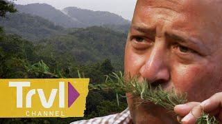 Fresh Food in a Forest Clearing | Bizarre Foods with Andrew Zimmern | Travel Channel