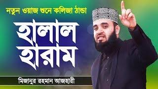 Bangla Waz | পৃথিবীর সবকিছু হালাল তবে অল্পকিছু হারাম | Halal | Haram | Mizanur Rahman Azhari