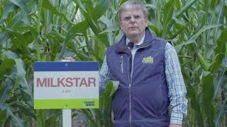 Saaten-Union: MAIS MILKSTAR, Vertriebsberater Andreas Henze