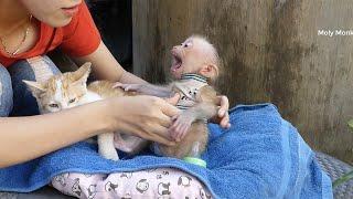 Baby Moly Crying Loudly Worry Mom Abandon When Mom Put Him Down To Wear New Clothe