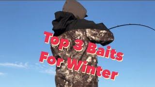 My TOP 3 Baits for Winter Bass Fishing | #bassfishing #winter #baitandtackle