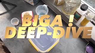 BIGA PIZZA DOUGH - DEEP DIVE