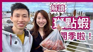 【溫哥華美食】斑點蝦Spot Prawn解讀｜2022 開季啦｜即買即食｜購買攻略｜中文字幕 4K｜