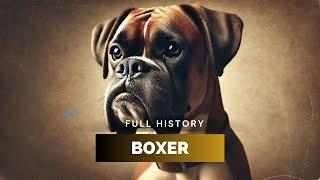 Boxer - Full History