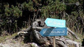 VTV Classics (r3): Arte Bregaglia (2008)