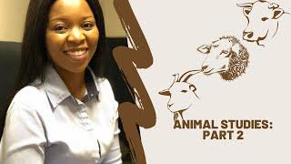 Grade 10 | Animal Studies Part 2 | cattle, sheep and goat breeds | Agricultural Sciences