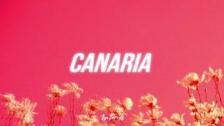 Burna Boy x Wizkid Type Beat 2020 - "Canaria" | Afrobeat Type Beat Instrumental