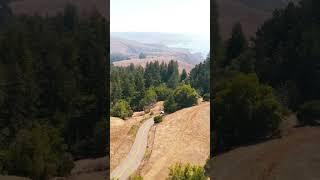 #cycling #california #shorts - Old Meyers Grade #sonomacounty