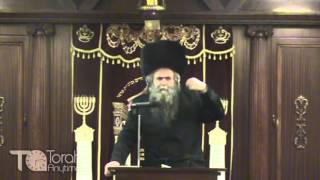 TorahAnytime.com Clip - Rabbi Avraham Schorr - The Importance of All 613 Mitzvot