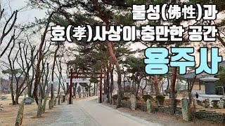 불성(佛性)과 효(孝)사상이 충만한 공간, 화성 용주사 [좋은절 #17 / 경기도사찰/ 화성시가볼만한곳]