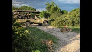 Chobe Day Trip