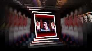 Elvis Presley - Medley ( Live Concert Version)