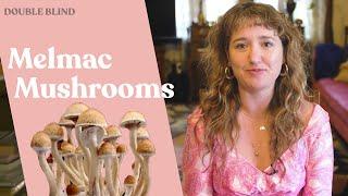 Melmac Mushrooms: What Are They?  | DoubleBlind