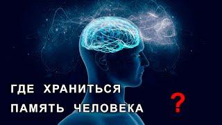 Как устроена память человека? - Вы должны это знать