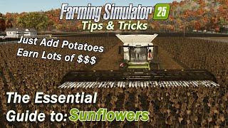 The Essential Guide to Sunflowers in Farming Simulator 25