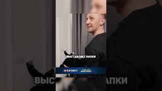 Александр Зубарев учит проверять котов на УМ \ интервью "ВПИСКА" #shorts