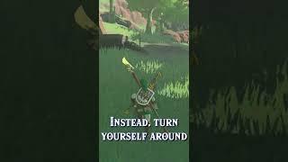 How to Enter Korok Forest in Tears of the Kingdom