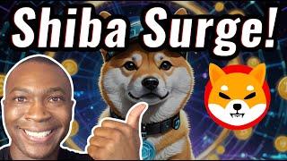 Understanding SHIBA INU Coin in 60 seconds || Shiba Surge || Adam Shelton