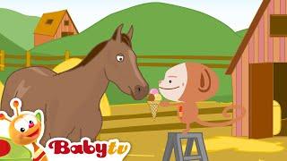 Olivier | Een paard voeren  | Tekenfilms @BabyTVNL