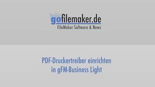 PDF-Druckertreiber in gFM-Business Light einrichten