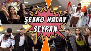 ŞEVKO HALAY - Grup SEYRAN - Rozerin & Gökhan - Lörrach / cemvebiz production®