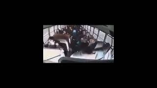 13-year-old school student saving a school bus full of kids after the driver passed out