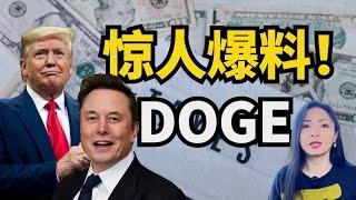 马斯克 川普 DOGE进展 惊人爆料！美国总统4年换届后DOGE怎么办？