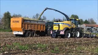 Dries Gabriels mais hakselen 2024 (1) , New Holland FR 780