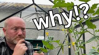 Tunnel Trouble? What's Going On Inside The PolyTunnel