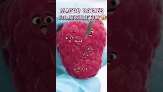 5 CUTEST BABIES - Macro Raspberry fruitsurgery  #shorts #fruit #foodsurgery #cute #beautiful