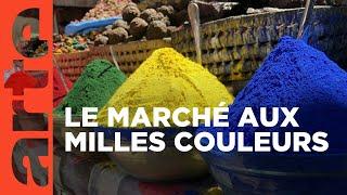 Maroc | Fascinant Maghreb | ARTE Family