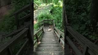 The Tunnel Trail at the Grandview Overlook #shorts #grandview #hiking #westvirginia #newrivergorge