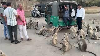 Rishikesh abu road Rajasthan