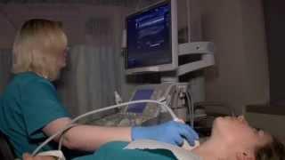 Diagnostic Medical Sonography | Howard Community College (HCC)