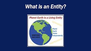 What is an Entity?