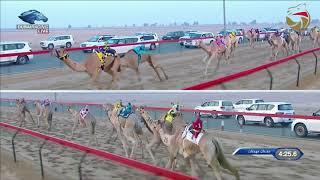 سباق اللقايا للقبائل - المرموم 28-11-2021 ش4 مجد لـ سعيد مهنا قرامش المحرمي 7:39:9