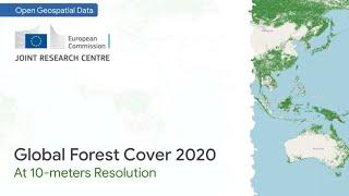 Open data: 10-meters resolution Global Forest Cover map (is it suitable for EUDR?)