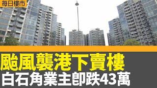 每日樓市｜颱風襲港下賣樓 白石角業主即跌43萬元｜港股收市連跌5日累跌逾1500點｜港股首次打風開市 陳翊庭：惡劣天氣下交易暢順如常｜28Hse特約 : 每日樓市｜HOYTV資訊台｜有線新聞