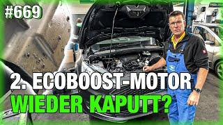 ZWEITER EcoBoost nach Motorschaden SCHON WIEDER kaputt (nach 12.000 km)? 