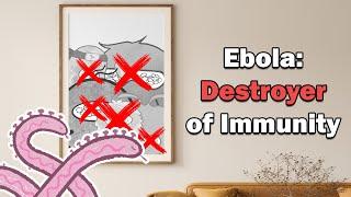 Is our Immune System Powerless in the Face of Ebola?