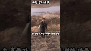 손을 흔들자 시라소니  북한 소년의 반응