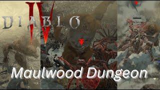 Diablo 4 - Maulwood Dungeon