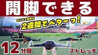 Stretch for splits! 【How to a 180 leg split in 2 weeks】