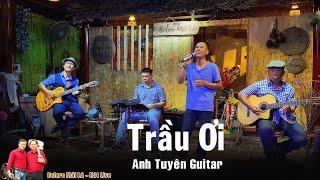 Trầu Ơi | TG Thế Hiển | Anh Tuyên Guitar đến giao lưu cùng Bolero Mái Lá - hát live