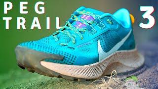 Nike Pegasus Trail 3 Score: ______ (higher than expected!)